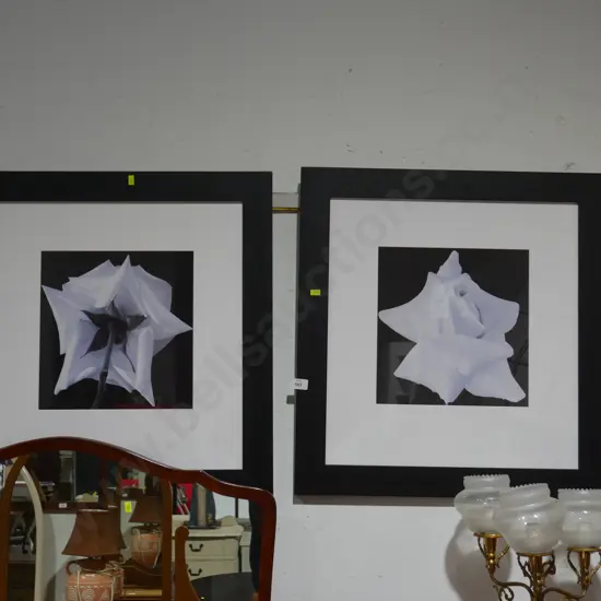 2 framed flower pictures