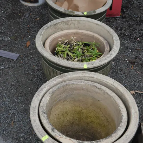 Plant pots and garden gnomes