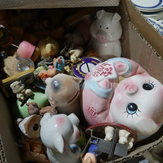 Collection of pigs