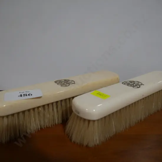 Ivory clothes brushes