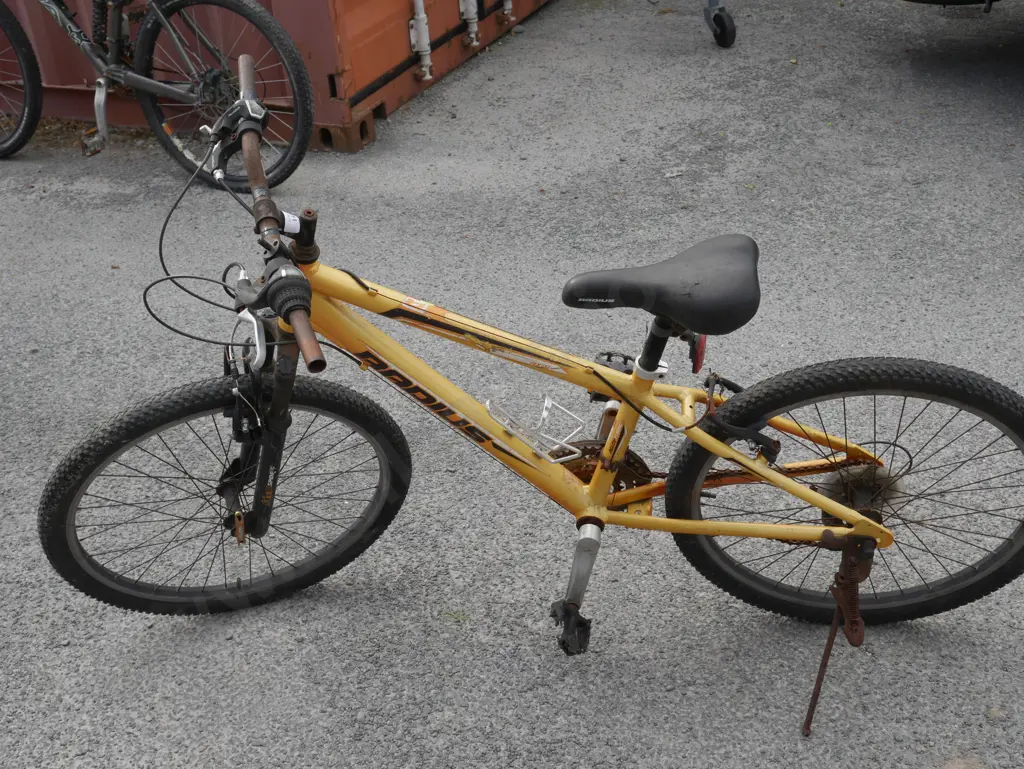 Radius mountain bike Image 1++