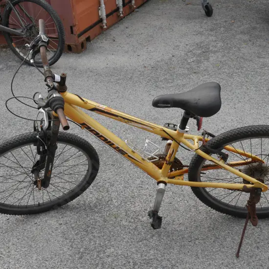 Radius mountain bike