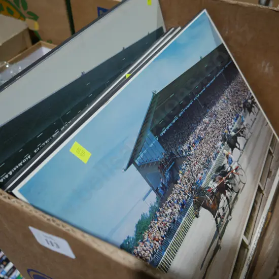 Horse trotting prints