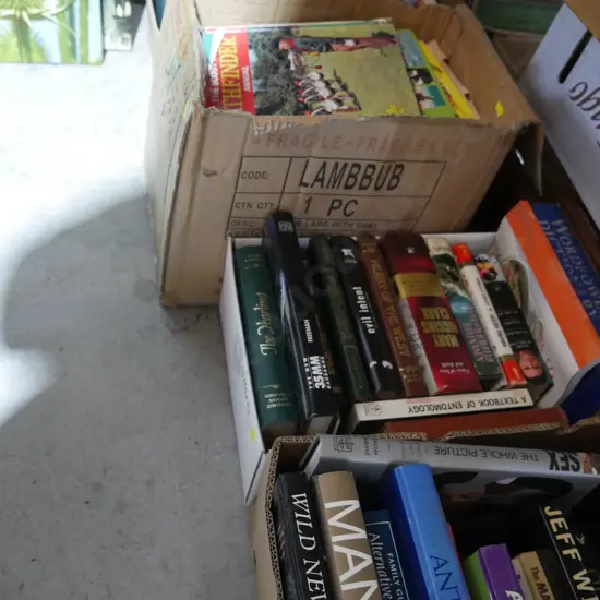 4 boxes of books