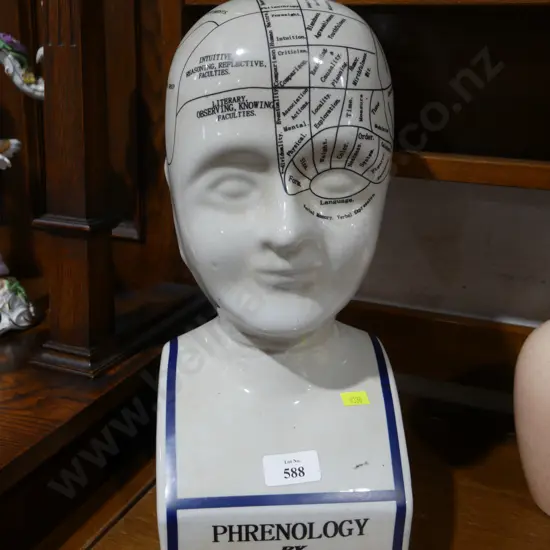 Phrenology head