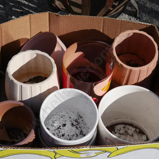 Box of plant pots