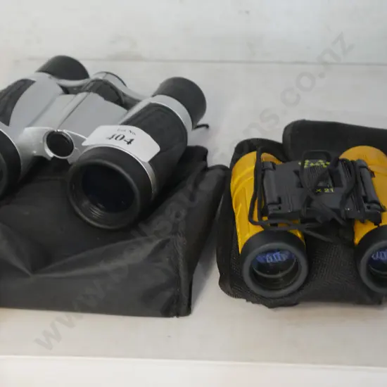 2 binoculars