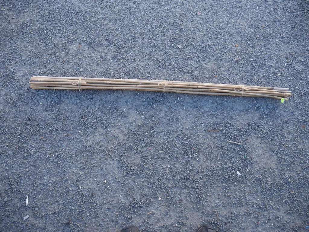 Bamboo stakes Image 1++