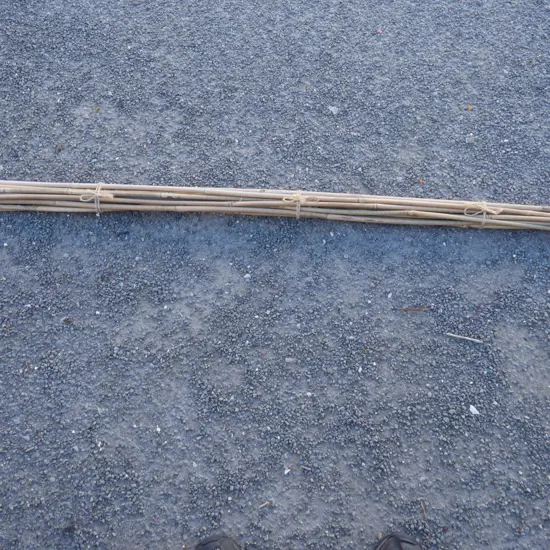 Bamboo stakes