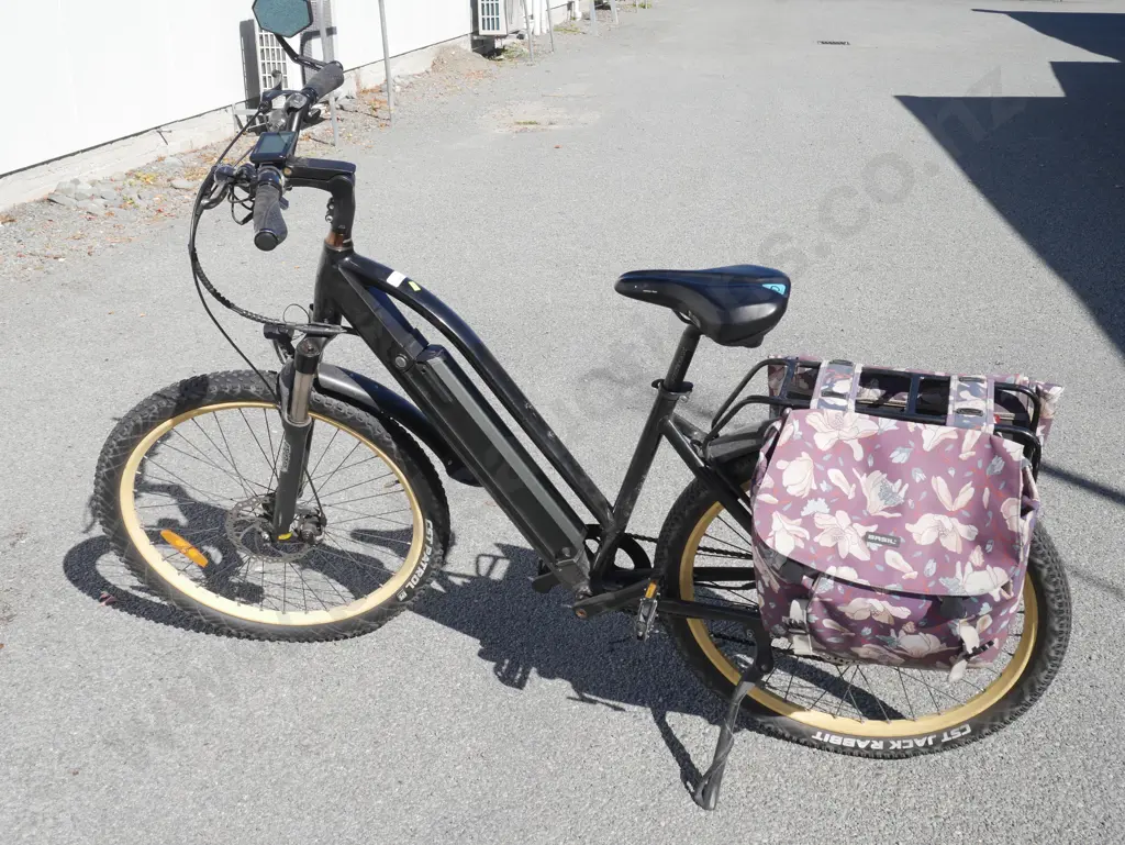 Ebike - faulty Image 1++