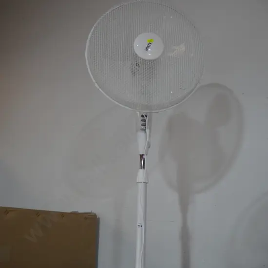 Fan