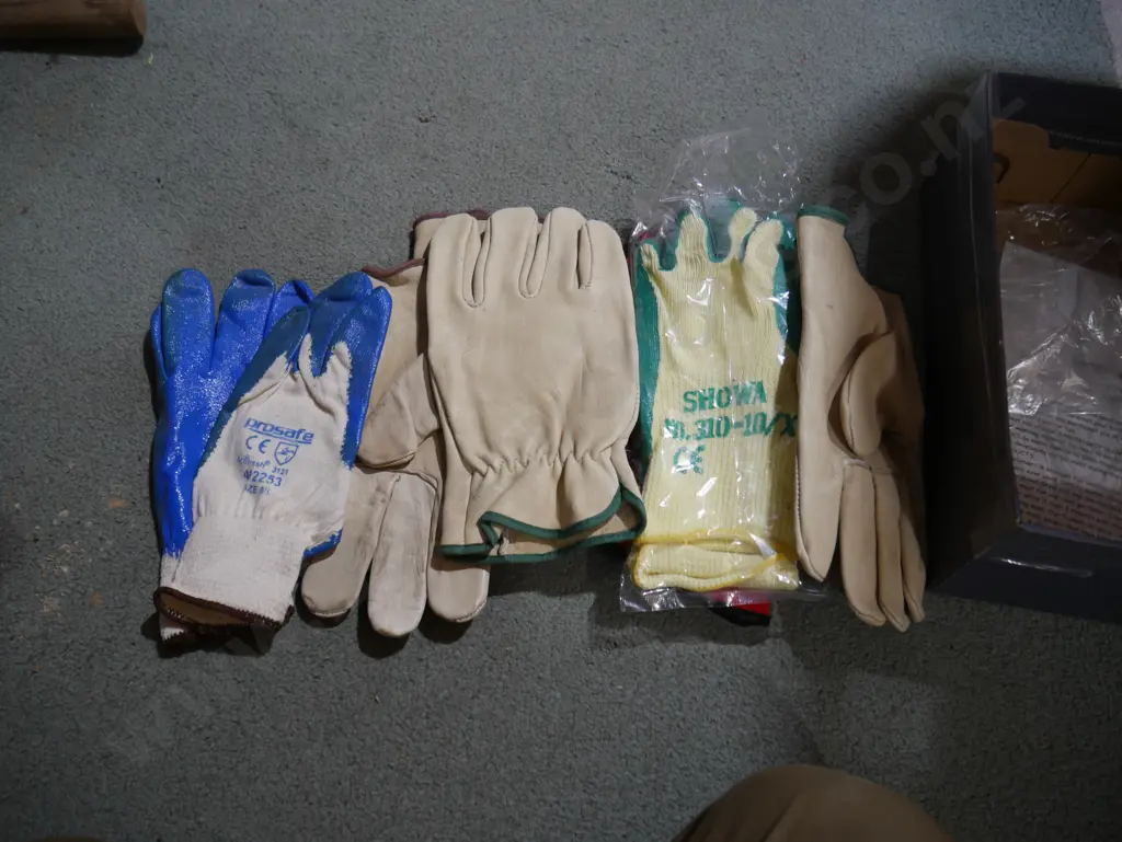 Gloves Image 1++