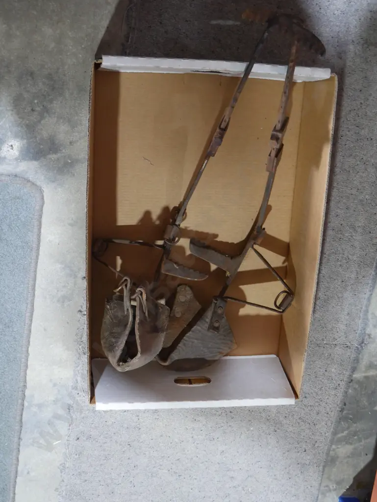 Telephone pole climbers Image 1++