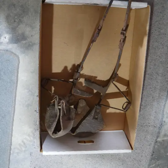 Telephone pole climbers