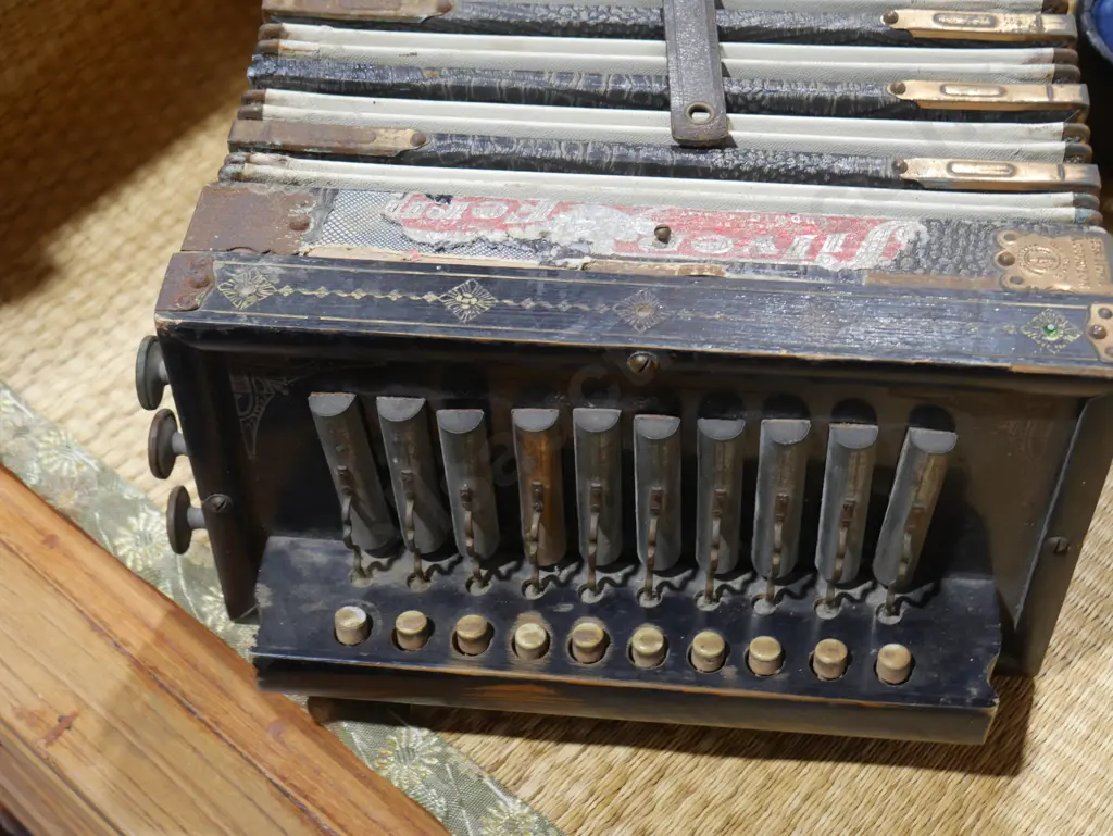 Button accordion Image 1++