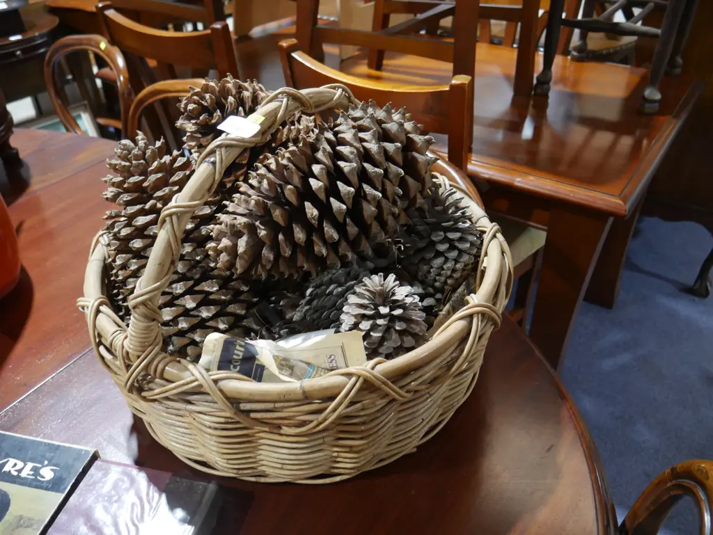 Cane basket and pinecones Image 1++