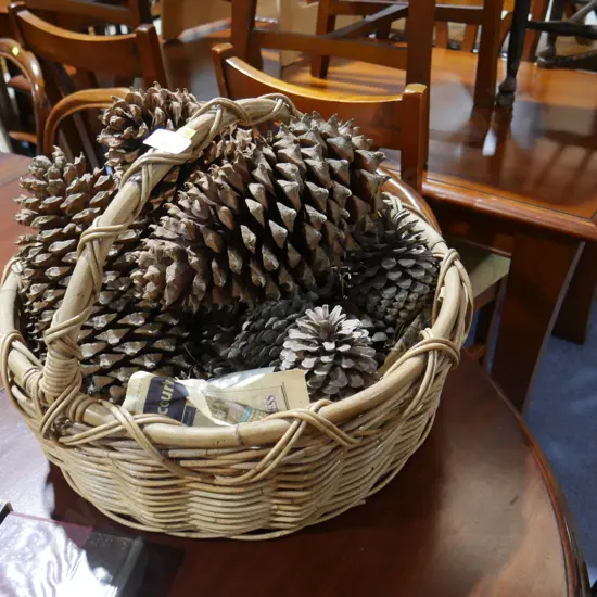 Cane basket and pinecones