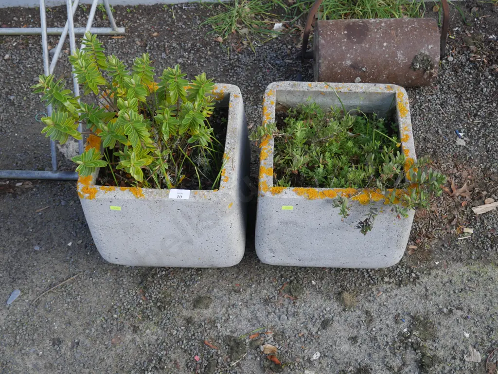 2 plant plant pots Image 1++