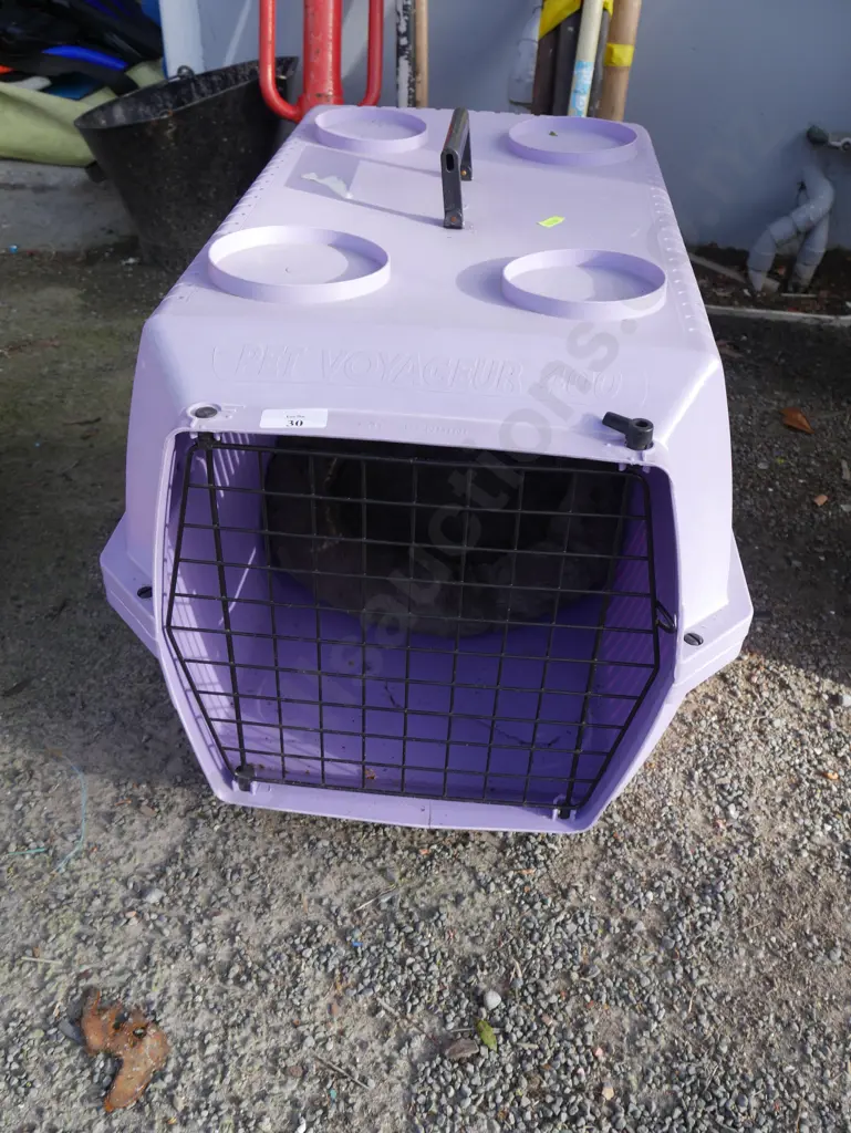 Purple pet crate Image 1++