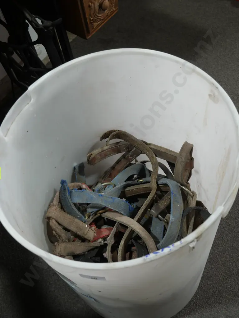 Horse holters Image 1++