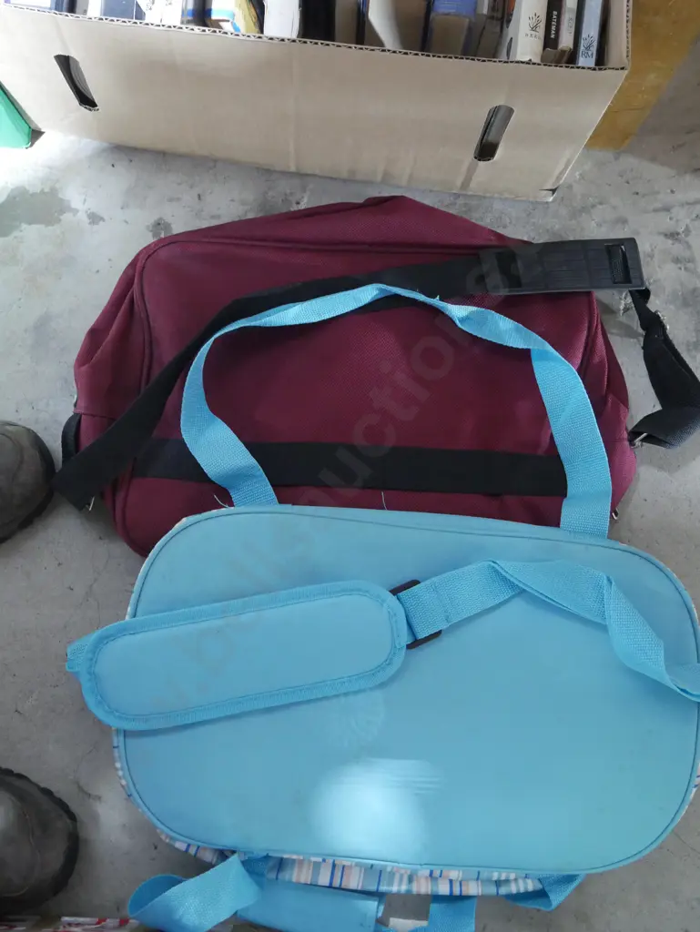 Laptop bag, picnic cooler bag Image 1++