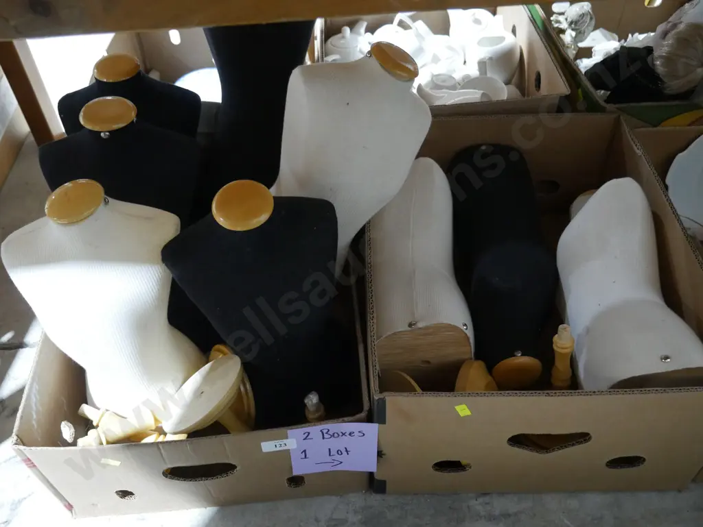 Two boxes small mannequin torsos and stands Image 1++