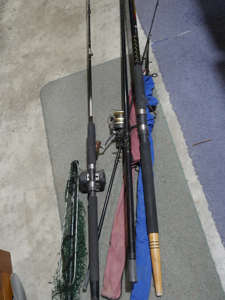 Assorted fishing rods etc Image 1++