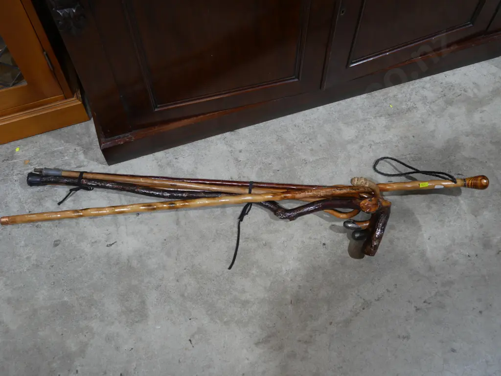 Assorted walking sticks Image 1++