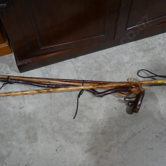 Assorted walking sticks