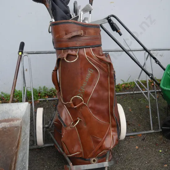 Golf clubs and bag