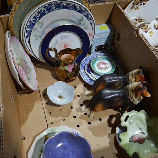 China plates, dogs