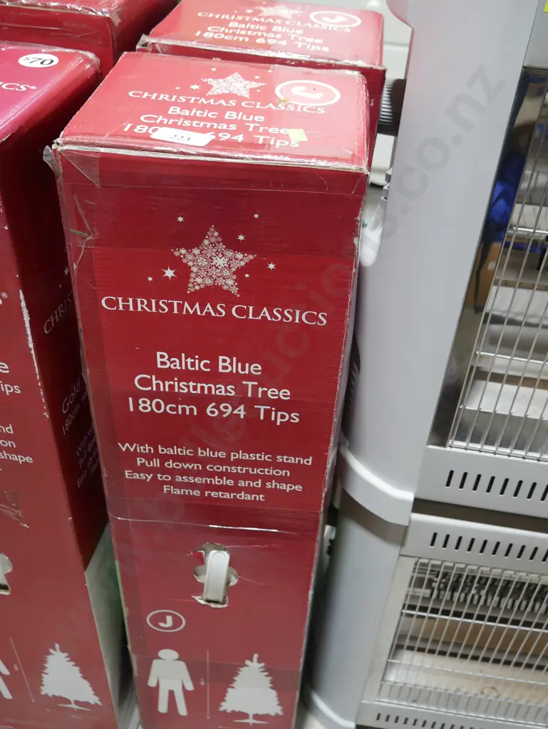 2 Xmas trees Image 1++