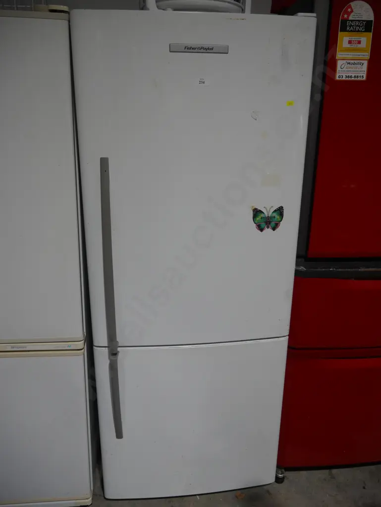 Fisher Paykel fridge freezer Image 1++