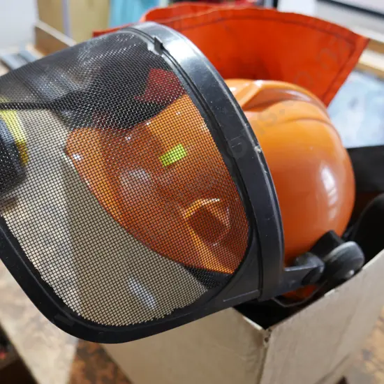 Chainsaw safety gear