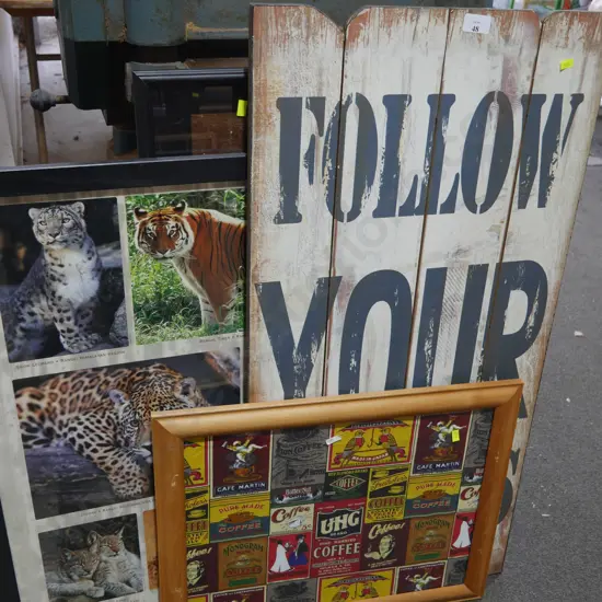 Framed animal photographs etc