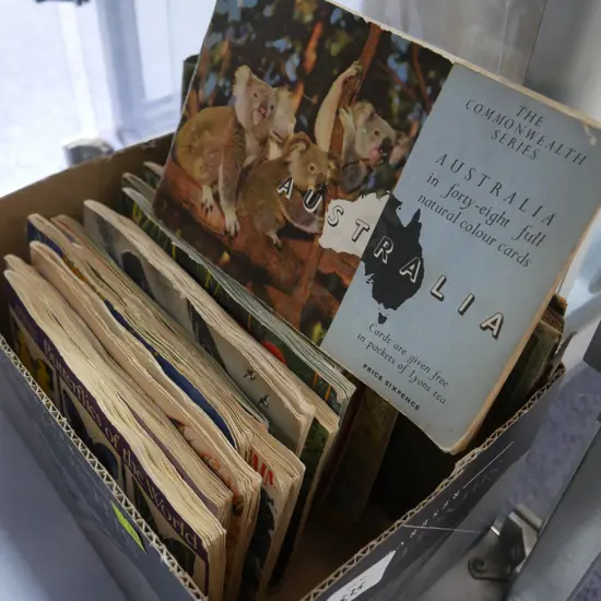 Cigarette card album, show card albums, wild flowers, birds etc