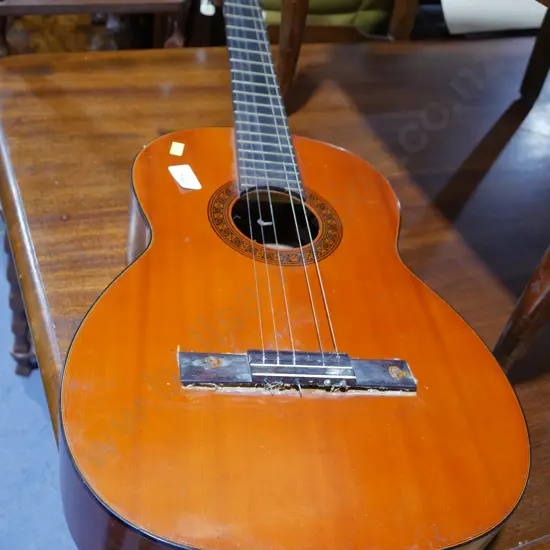 Suzuki guitar