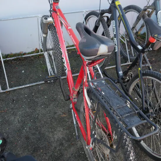 Nevada mountain bike