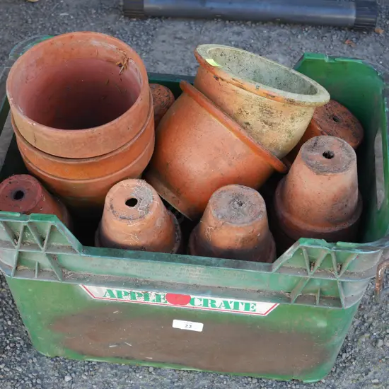 Terracotta plant pots