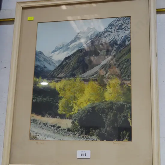 Print. MT Cook