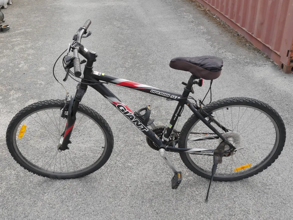 Giant mountain bike Image 1++