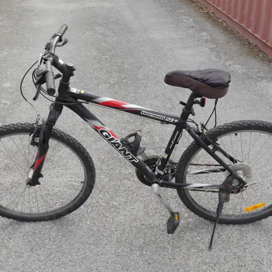 Giant mountain bike