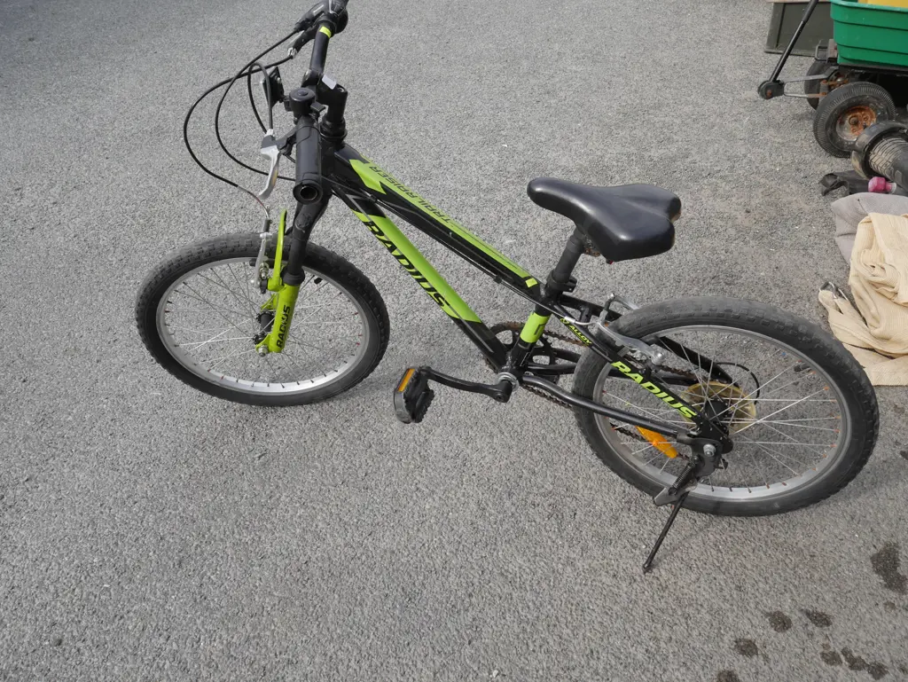 Radius bike Image 1++