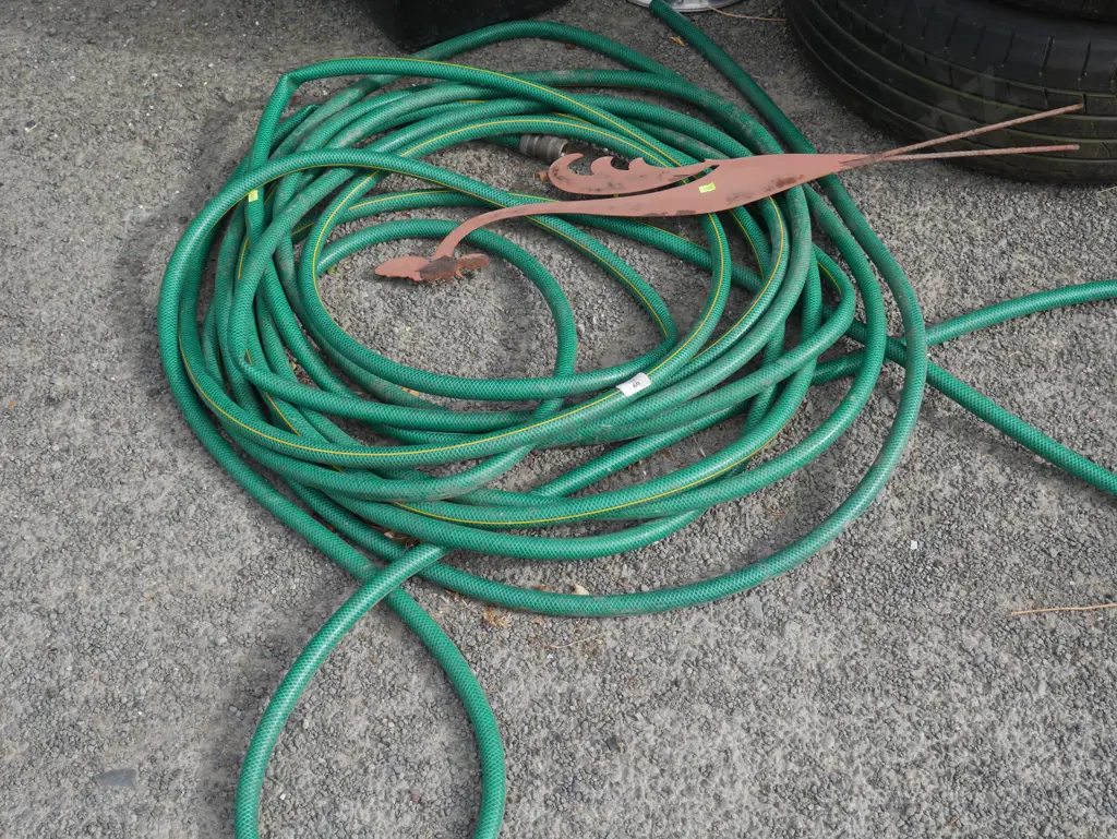 Garden hose, chicken garden ornament Image 1++