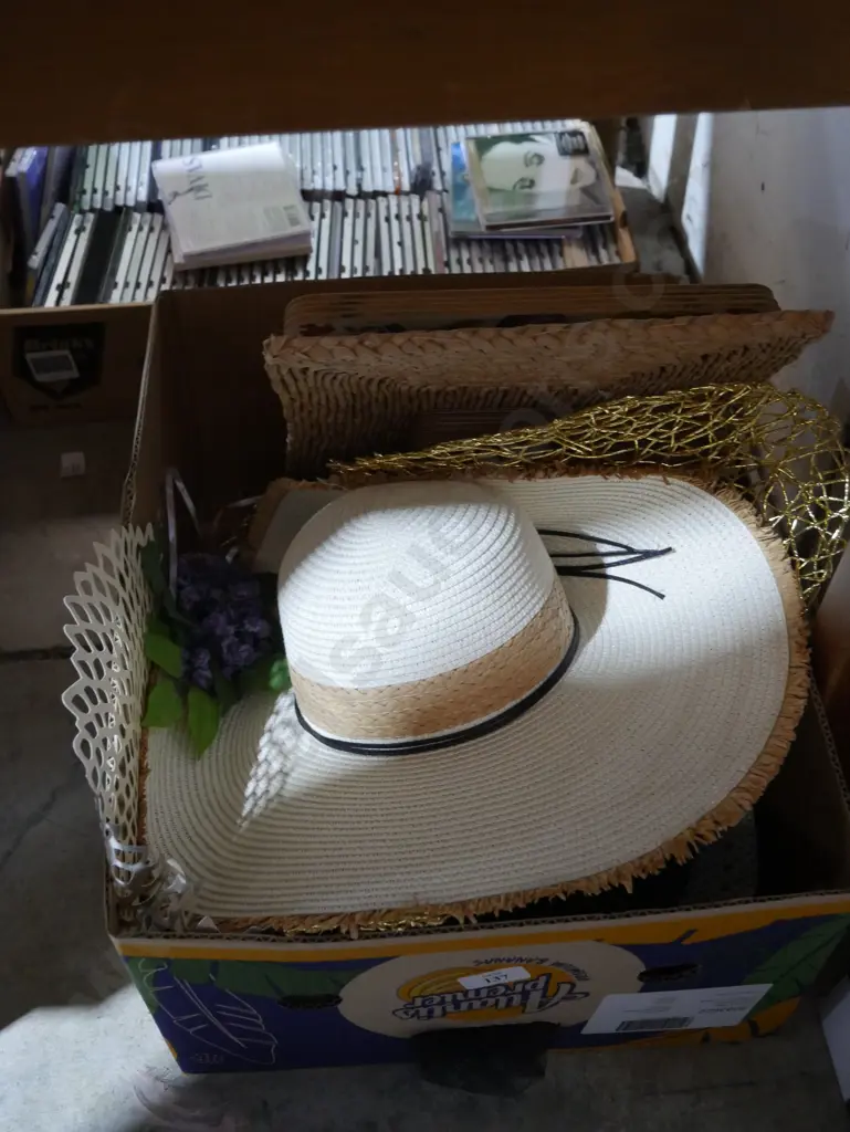 Hats, placematics etc Image 1++