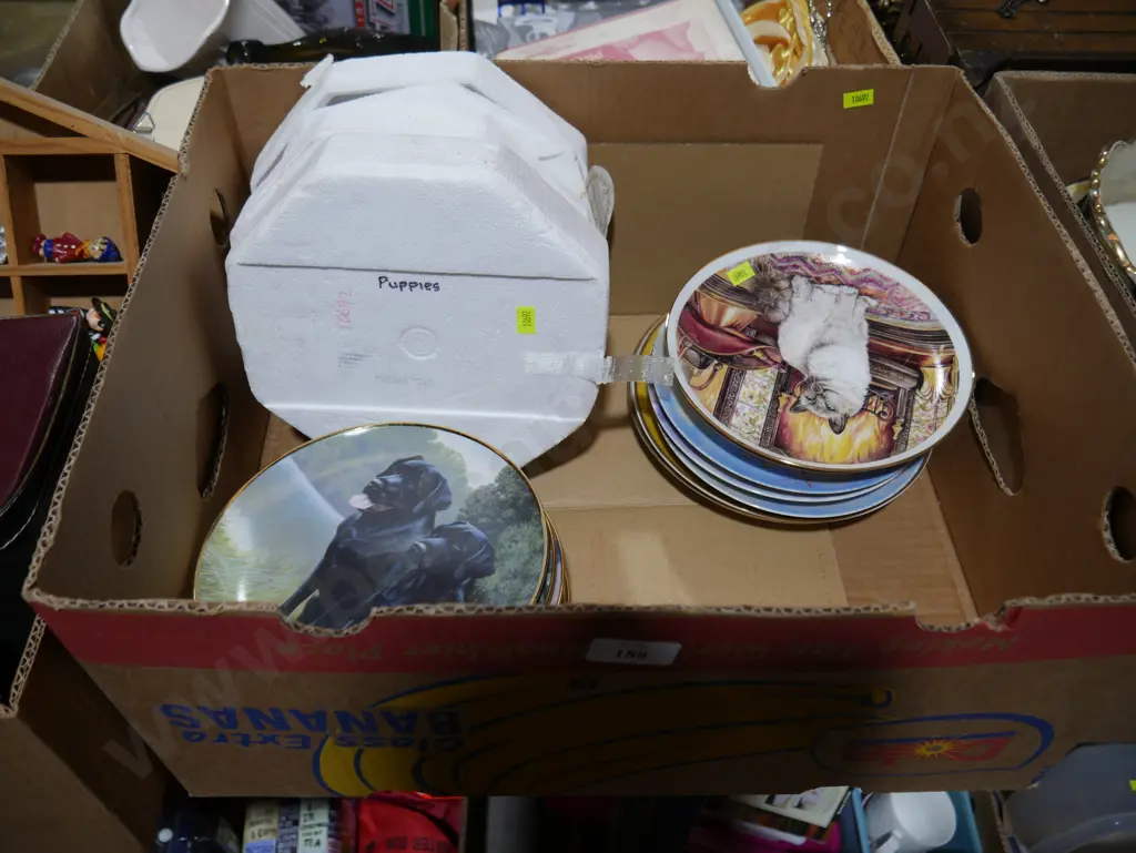 Picture plates Image 1++