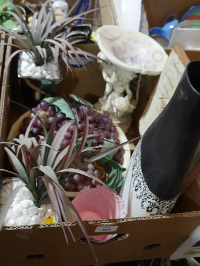 Ornamental plants etc Image 1++