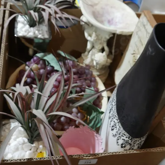 Ornamental plants etc