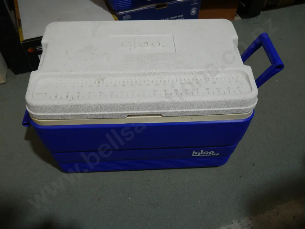 Igloo chilli bin Image 1++