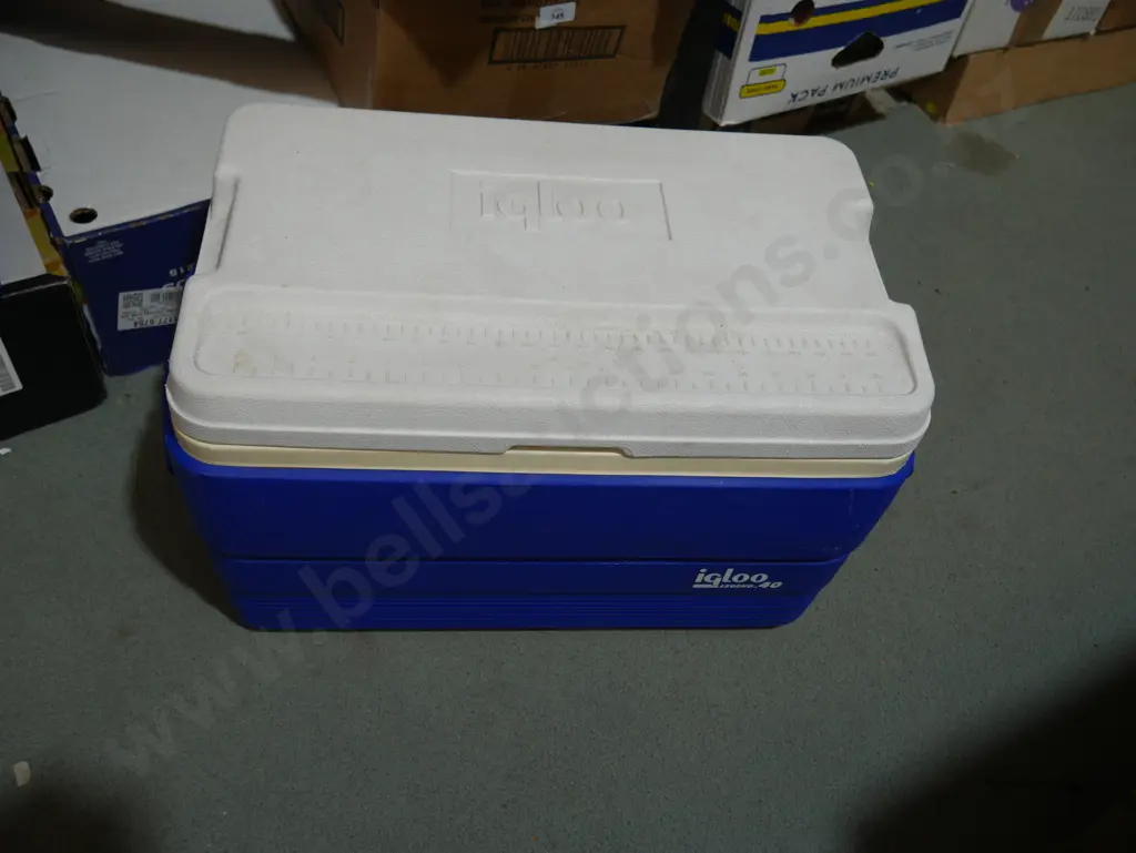 Igloo chili bin Image 1++